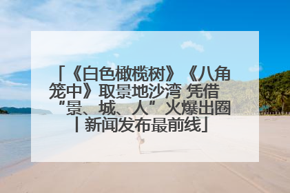 《白色橄榄树》《八角笼中》取景地沙湾 凭借“景、城、人”火爆出圈丨新闻发布最前线
