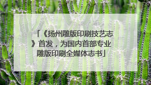 《扬州雕版印刷技艺志》首发，为国内首部专业雕版印刷全媒体志书