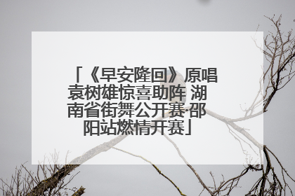 《早安隆回》原唱袁树雄惊喜助阵 湖南省街舞公开赛·邵阳站燃情开赛
