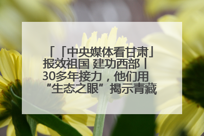「中央媒体看甘肃」报效祖国 建功西部丨30多年接力，他们用“生态之眼”揭示青藏高原的秘密