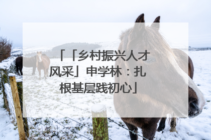「乡村振兴人才风采」申学林：扎根基层践初心