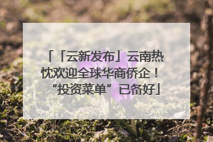 「云新发布」云南热忱欢迎全球华商侨企！“投资菜单”已备好