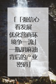 「强信心 看发展 优化营商环境争一流」一瓶胡麻油背后的产业密码