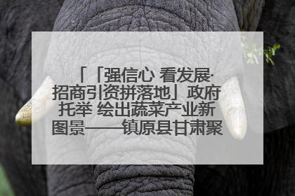 「强信心 看发展·招商引资拼落地」政府托举 绘出蔬菜产业新图景——镇原县甘肃聚广利现代设施蔬菜种植基地见闻