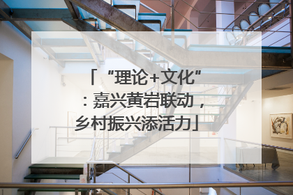 “理论+文化”：嘉兴黄岩联动，乡村振兴添活力