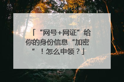“网号+网证”给你的身份信息“加密”！怎么申领？