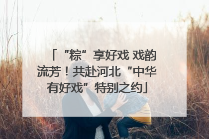 “粽”享好戏 戏韵流芳！共赴河北“中华有好戏”特别之约