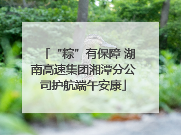 “粽”有保障 湖南高速集团湘潭分公司护航端午安康