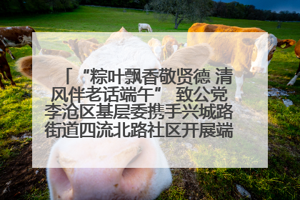 “粽叶飘香敬贤德 清风伴老话端午” 致公党李沧区基层委携手兴城路街道四流北路社区开展端午节主题活动