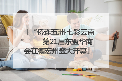 “侨连五洲·七彩云南”——第21届东盟华商会在德宏州盛大开幕