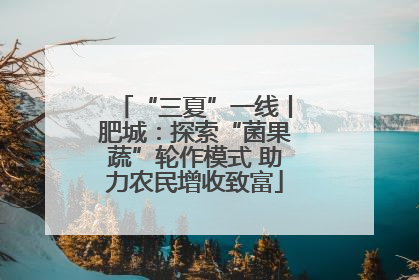 “三夏”一线丨肥城：探索“菌果蔬”轮作模式 助力农民增收致富