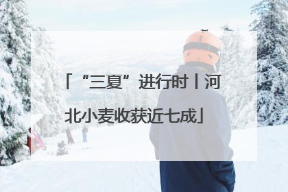 “三夏”进行时丨河北小麦收获近七成