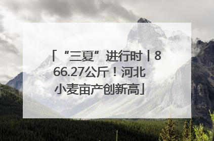 “三夏”进行时丨866.27公斤！河北小麦亩产创新高