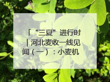 “三夏”进行时｜河北麦收一线见闻（一）：小麦机收减损“竞技” 农机高手麦田“过招”