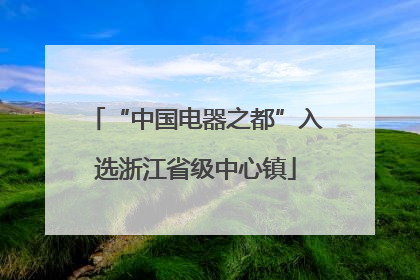 “中国电器之都”入选浙江省级中心镇