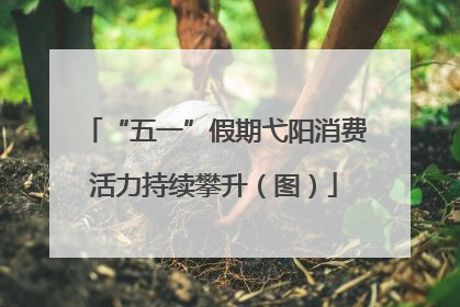 “五一”假期弋阳消费活力持续攀升（图）