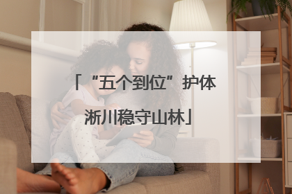 “五个到位”护体 淅川稳守山林