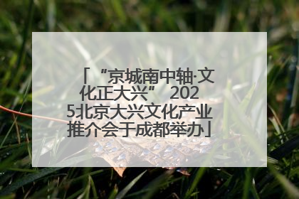 “京城南中轴·文化正大兴” 2025北京大兴文化产业推介会于成都举办