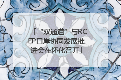 “双通道”与RCEP口岸协同发展推进会在怀化召开