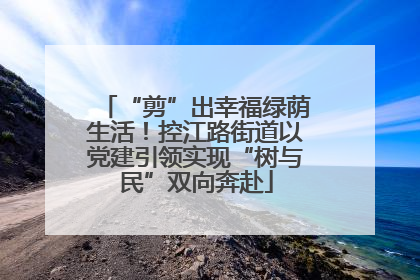 “剪”出幸福绿荫生活！控江路街道以党建引领实现“树与民”双向奔赴