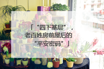 “四下基层”，老百姓房前屋后的“平安密码”