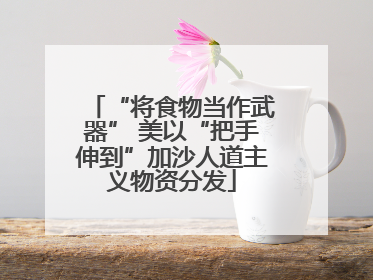 “将食物当作武器” 美以“把手伸到”加沙人道主义物资分发