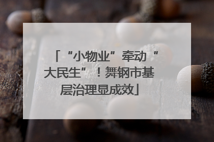 “小物业”牵动“大民生”！舞钢市基层治理显成效