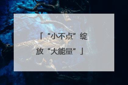 “小不点”绽放“大能量”