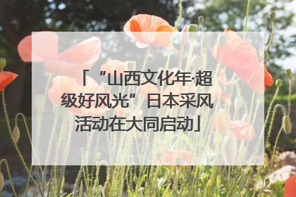 “山西文化年·超级好风光”日本采风活动在大同启动