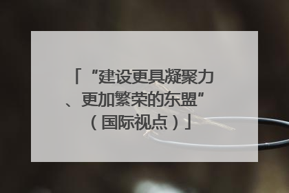 “建设更具凝聚力、更加繁荣的东盟”（国际视点）