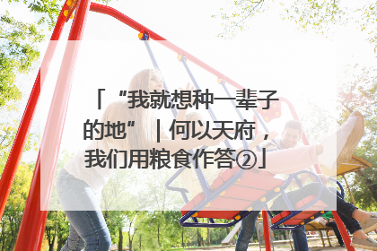 “我就想种一辈子的地”｜何以天府，我们用粮食作答②