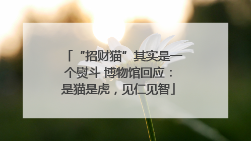 “招财猫”其实是一个熨斗 博物馆回应：是猫是虎，见仁见智