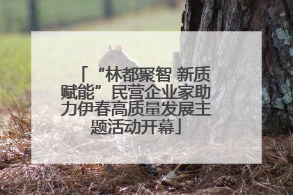 “林都聚智 新质赋能”民营企业家助力伊春高质量发展主题活动开幕