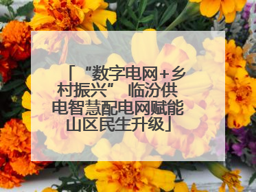 “数字电网+乡村振兴” 临汾供电智慧配电网赋能山区民生升级