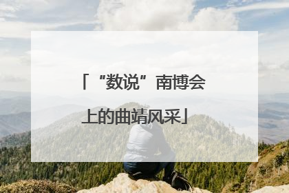 “数说”南博会上的曲靖风采