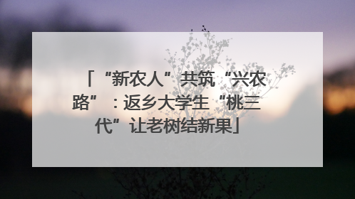 “新农人”共筑“兴农路”：返乡大学生“桃三代”让老树结新果