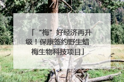 “梅”好经济再升级！保康签约野生蜡梅生物科技项目