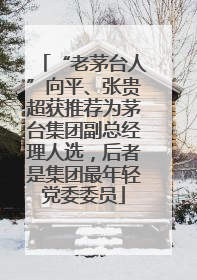“老茅台人”向平、张贵超获推荐为茅台集团副总经理人选，后者是集团最年轻党委委员