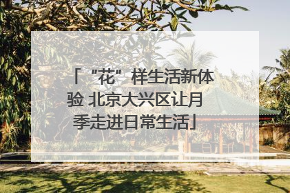 “花”样生活新体验 北京大兴区让月季走进日常生活