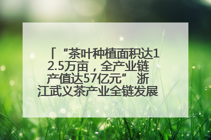 “茶叶种植面积达12.5万亩，全产业链产值达57亿元” 浙江武义茶产业全链发展“加速度”