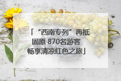 “西南专列”再抵固原 870名游客畅享清凉红色之旅