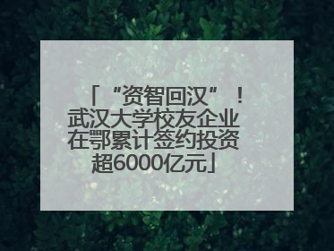“资智回汉”！武汉大学校友企业在鄂累计签约投资超6000亿元