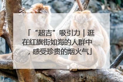 “超吉”吸引力｜逛在红旗街如海的人群中，感受珍贵的烟火气