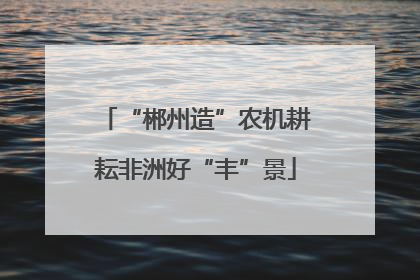 “郴州造”农机耕耘非洲好“丰”景