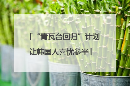 “青瓦台回归”计划让韩国人喜忧参半