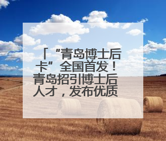 “青岛博士后卡”全国首发！青岛招引博士后人才，发布优质岗位1700余个