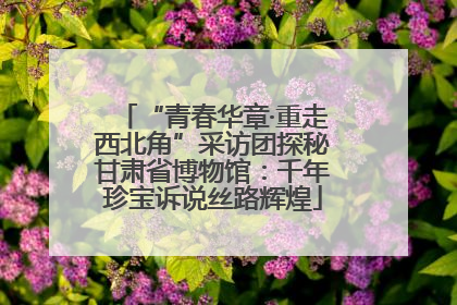 “青春华章·重走西北角”采访团探秘甘肃省博物馆：千年珍宝诉说丝路辉煌