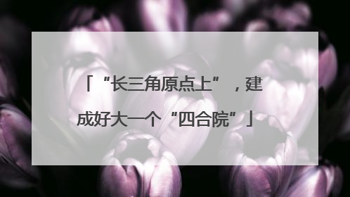 “长三角原点上”，建成好大一个“四合院”