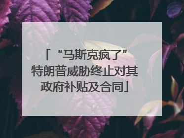 “马斯克疯了” 特朗普威胁终止对其政府补贴及合同