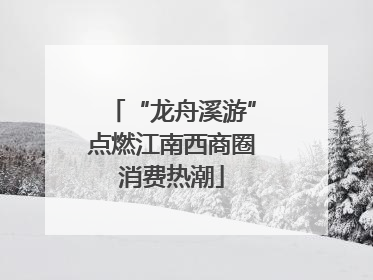 “龙舟溪游”点燃江南西商圈消费热潮